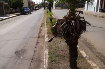 Foto - Manutenções no Bairro do Centro 