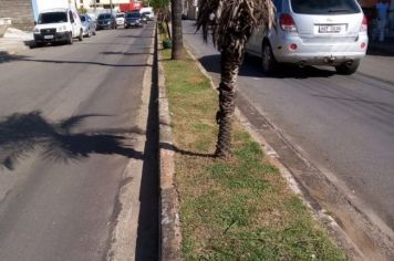 Foto - Manutenções no Bairro do Centro 