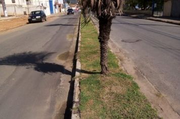 Foto - Manutenções no Bairro do Centro 