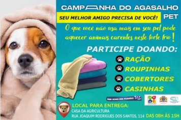 CAMPANHA DO AGASALHO PET