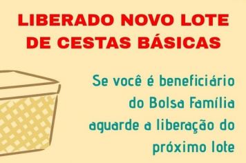 Liberado novo lote de cestas básicas!