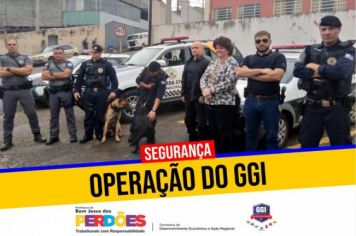 OPERAÇÃO DO GGI APREENDE DROGAS E ARMAS DE FOGO