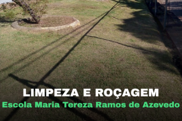 LIMPEZA E MANUTENÇÃO