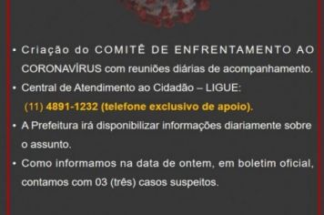 COMITÊ DE ENFRENTAMENTO AO CORONAVÍRUS.