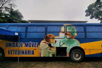 PRIMEIRA FASE DA CASTRAÇÃO DE CÃES E GATOS EM BOM JESUS DOS PERDÕES.