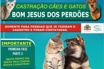 CATRAÇÃO CÃES E GATOS