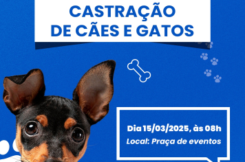 CASTRAÇÃO DE CÃES E GATOS