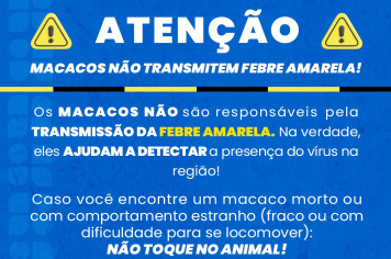 FEBRE AMARELA: MACACOS NÃO SÃO VILÕES!