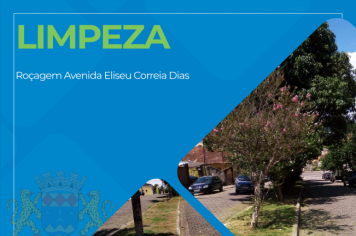 LIMPEZA E MANUTENÇÃO