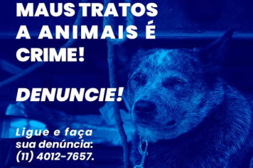 MAUS-TRATOS É CRIME