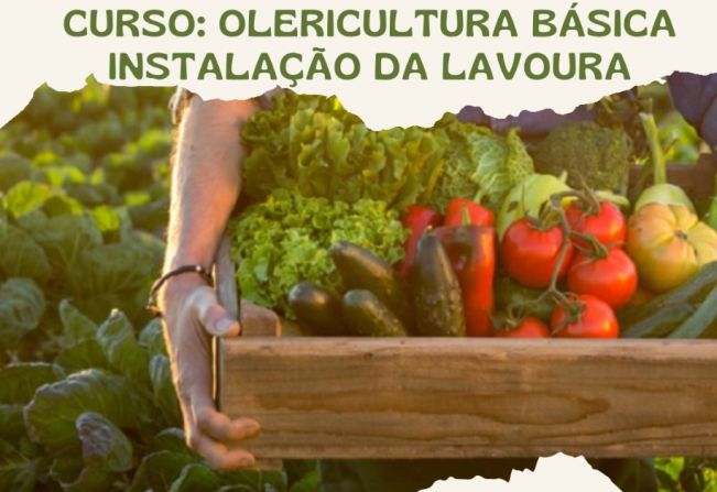 CURSO OLERICULTURAL BÁSICA