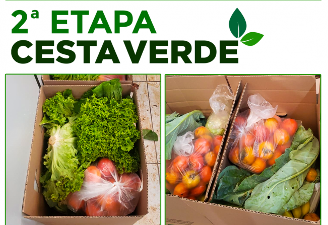 2ª ETAPA CESTA VERDE