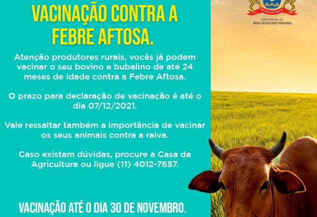 Vacinação contra a Febre Aftosa