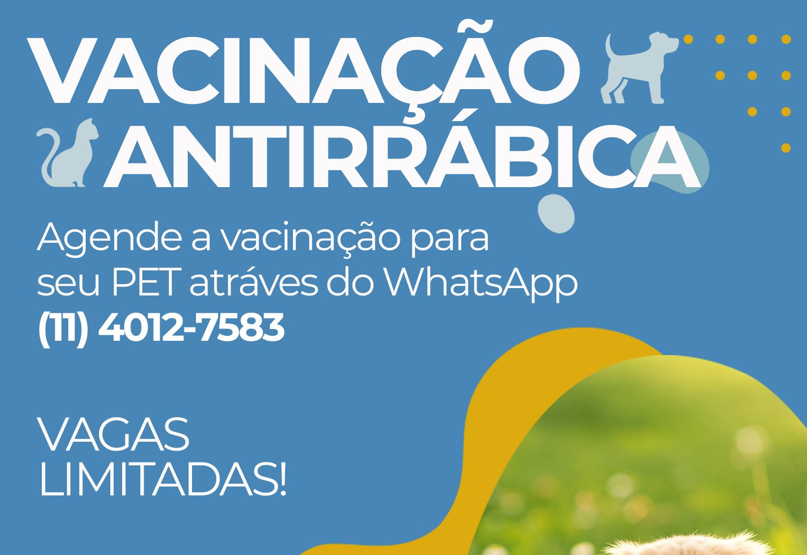 VACINAÇÃO ANTIRRÁBICA