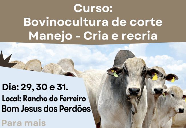 CURSO BOVINOCULTURA DE CORTE MANEJO