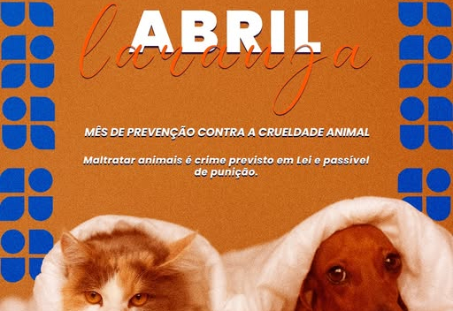 ABRIL LARANJA