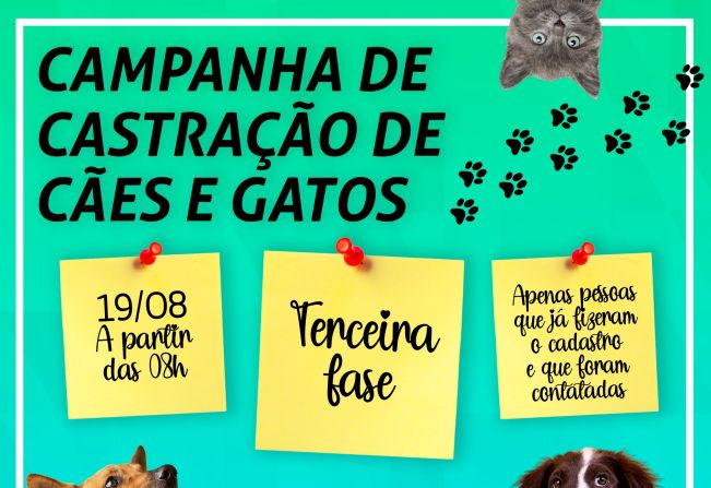 CASTRAÇÃO CÃES E GATOS