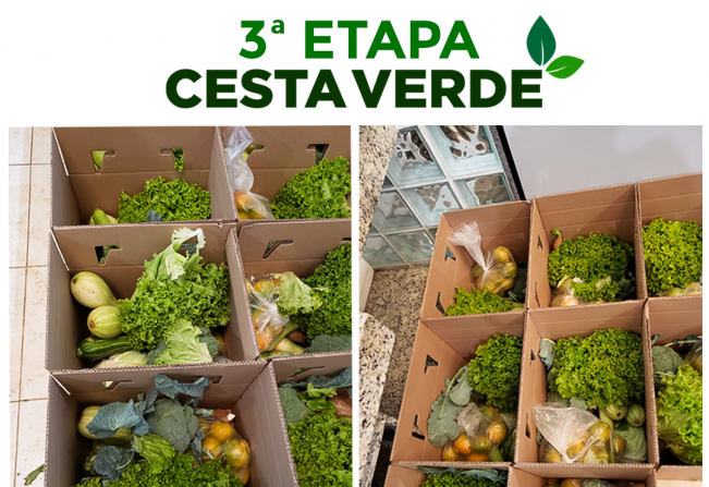 3ª ETAPA CESTA VERDE