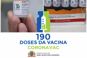 190 DOSES DA VACINA CORONAVAC